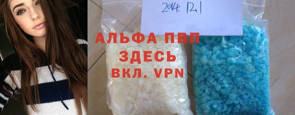 стафф Арсеньев
