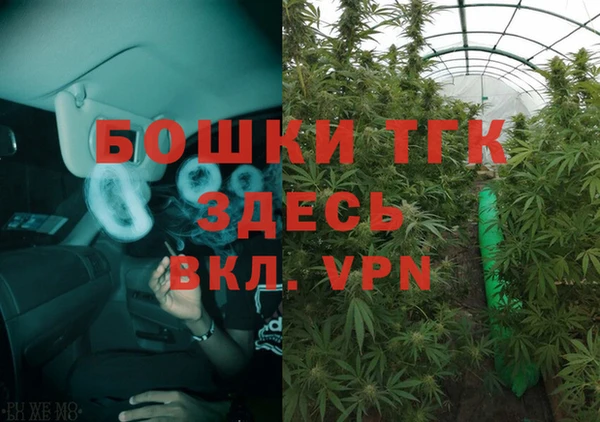 стафф Арсеньев