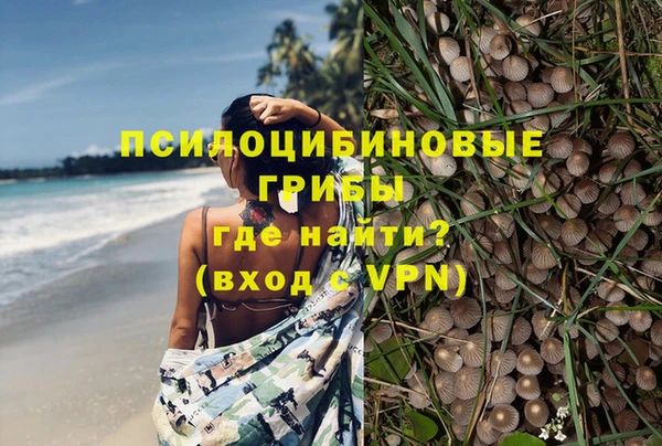 ALPHA-PVP Аркадак