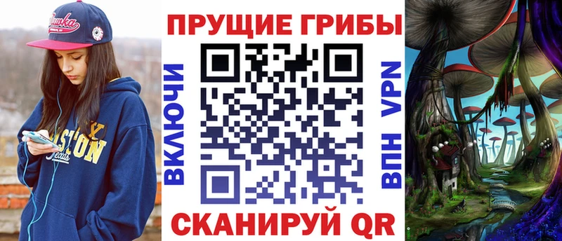сайты даркнета состав  Рудня  Псилоцибиновые грибы MAGIC MUSHROOMS 